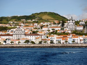 IMG_1441