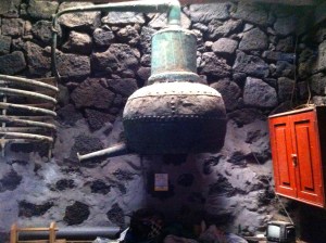 IMG_2757