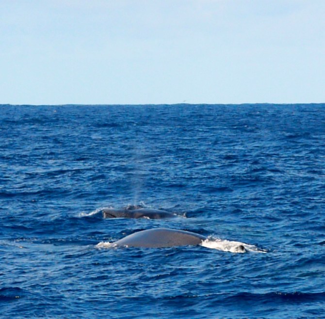 P1150091 - Arbeitskopie 3