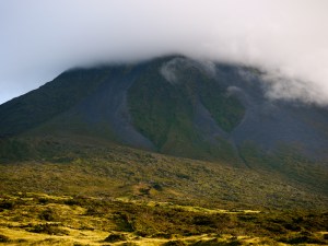 P1150227