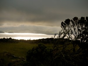 P1150240
